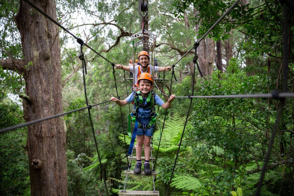 Zipline Tour suspension bridge