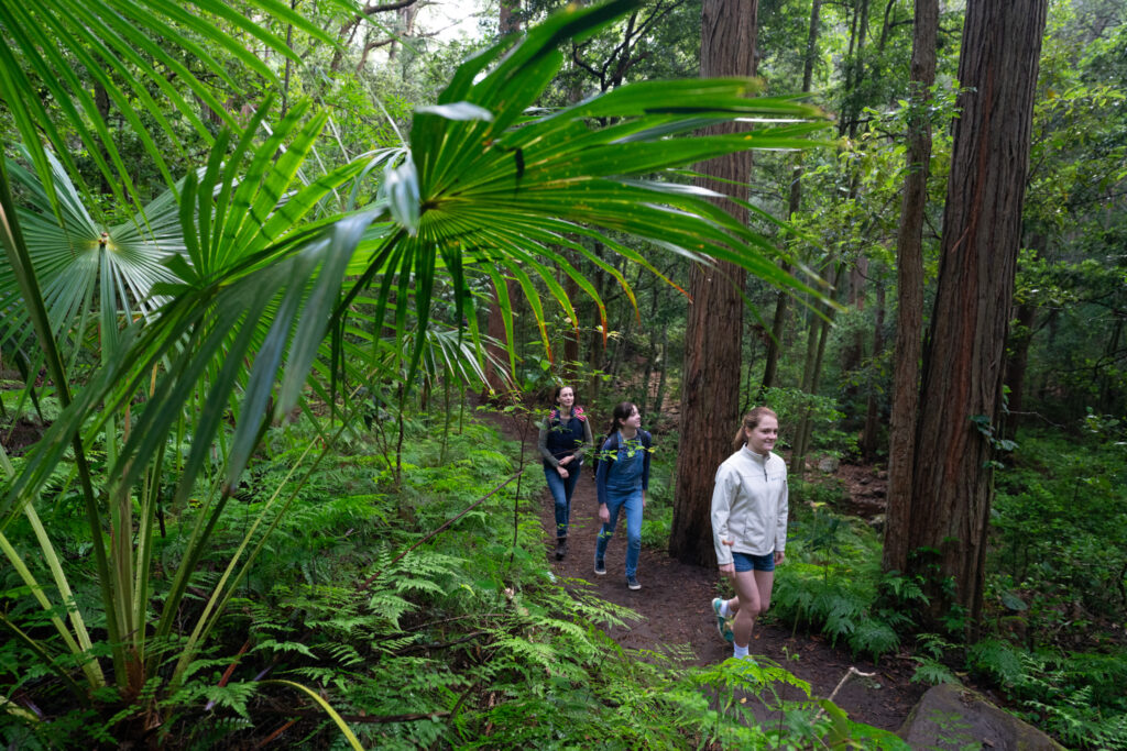 Macquarie Pass National park