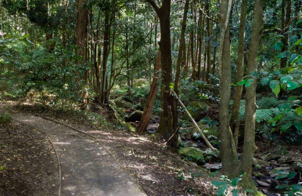 Cascades Track, Macquarie Pass National Park. Photo: T. Moody/NSW Government