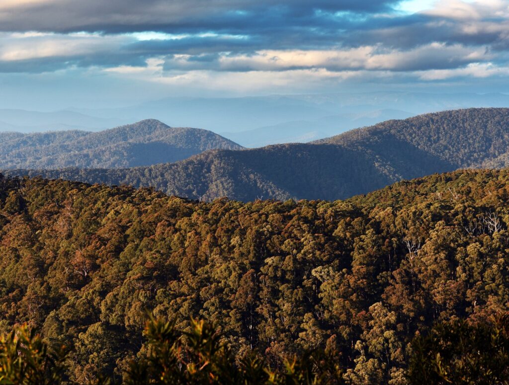 View form Hanging Mountain, Deua National Park