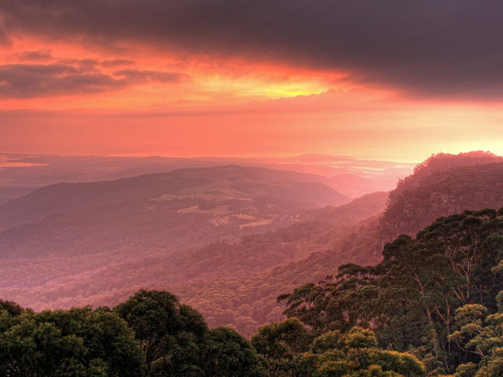 Sunrise Treetop Tour