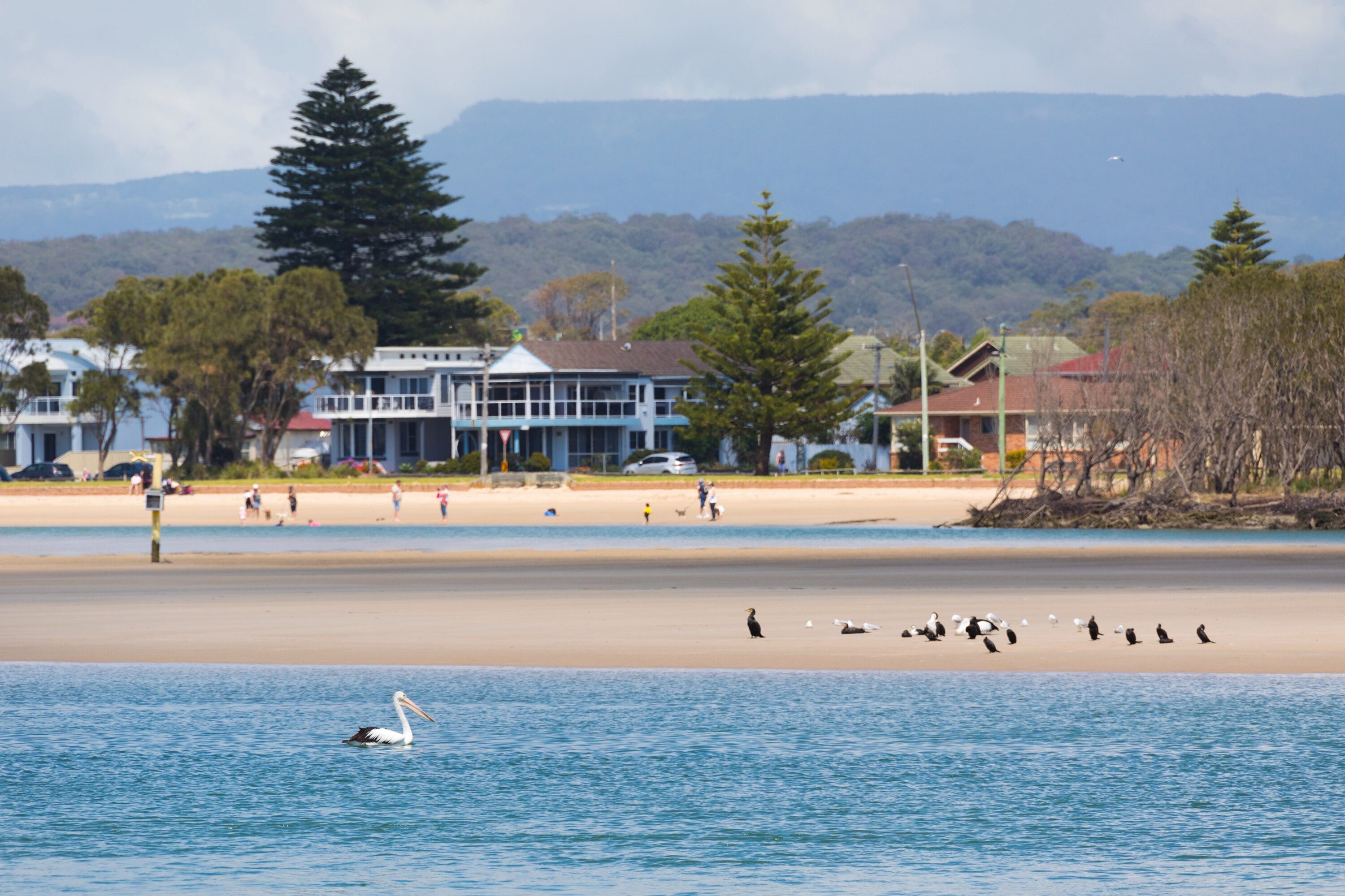 Lake Illawarra