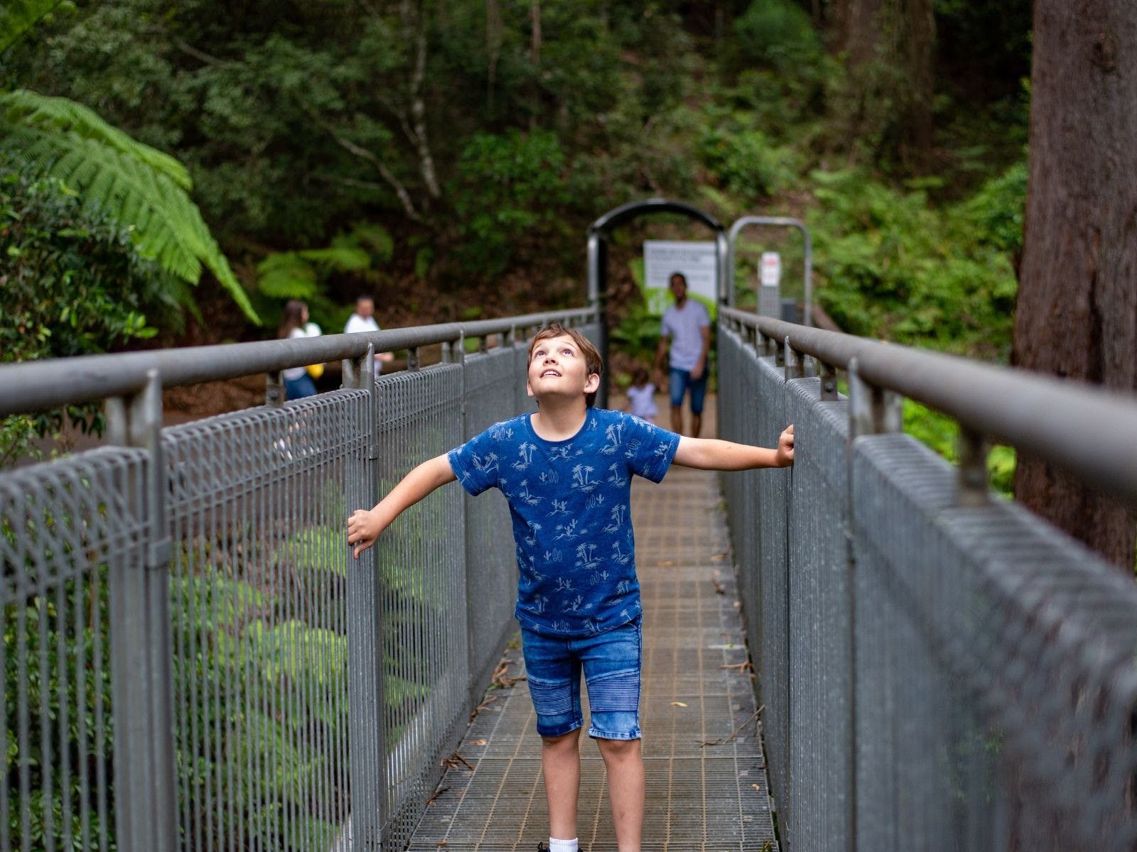 Summer Of Dragons at Illawarra Fly