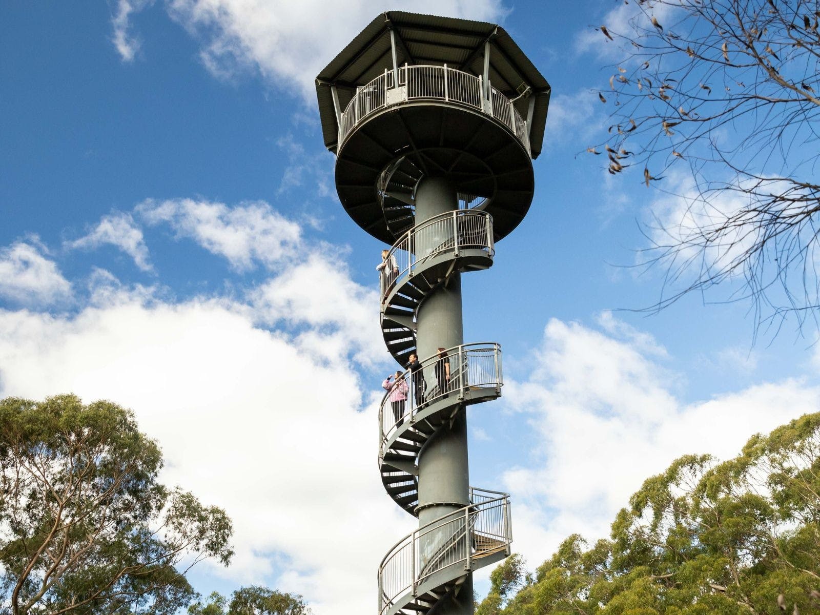 Summer Of Dragons at Illawarra Fly