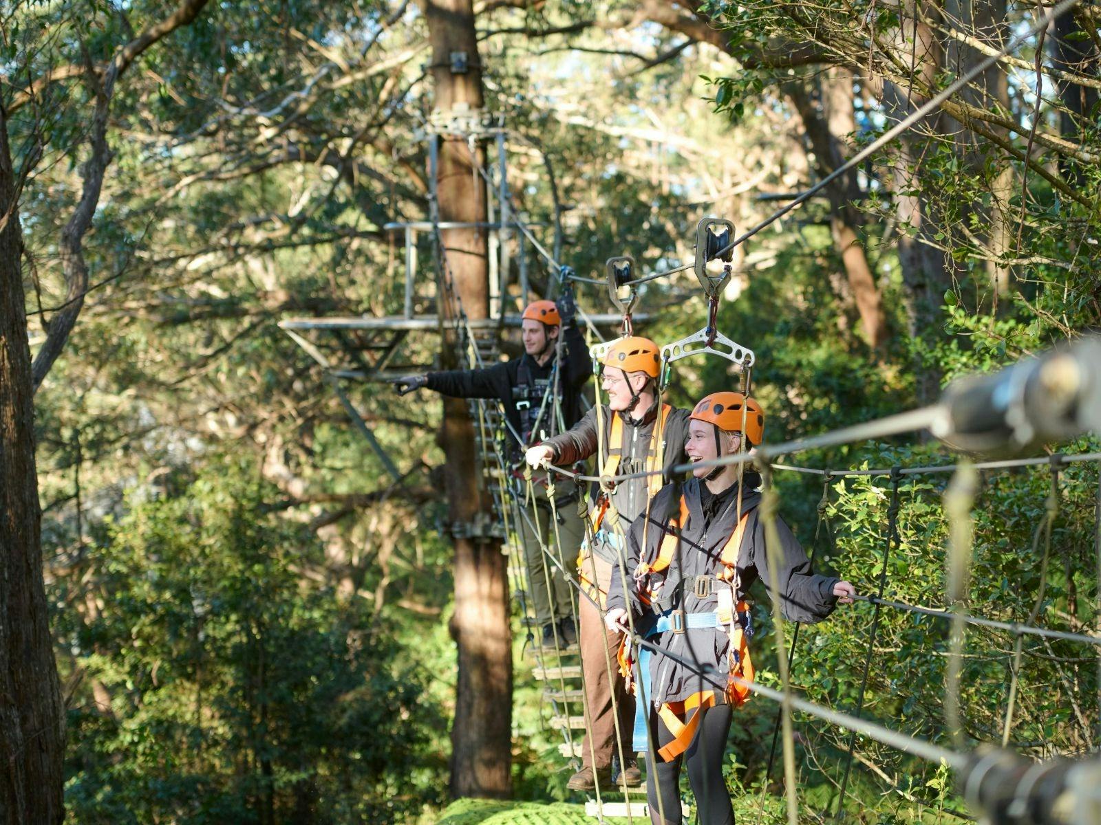 Zipline Tour at Illawarra Fly Treetop Adventures