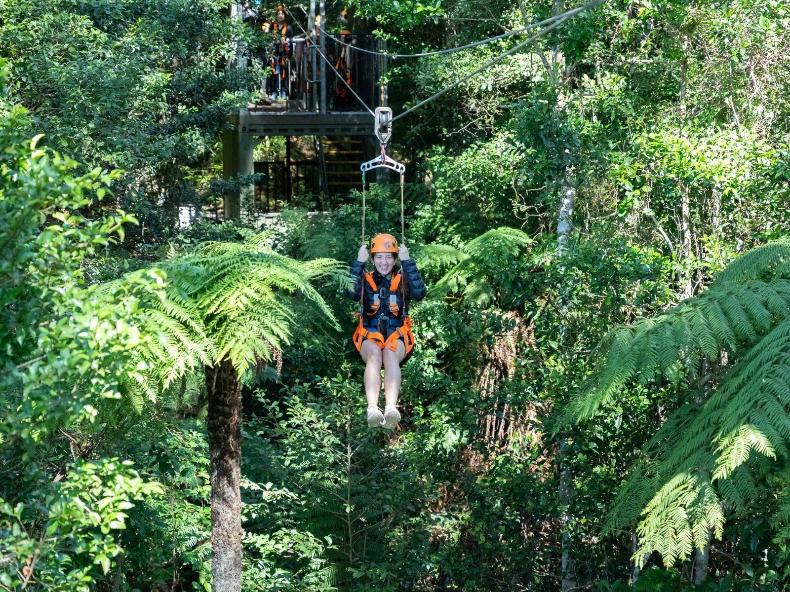 Zipline Tour at Illawarra Fly Treetop Adventures