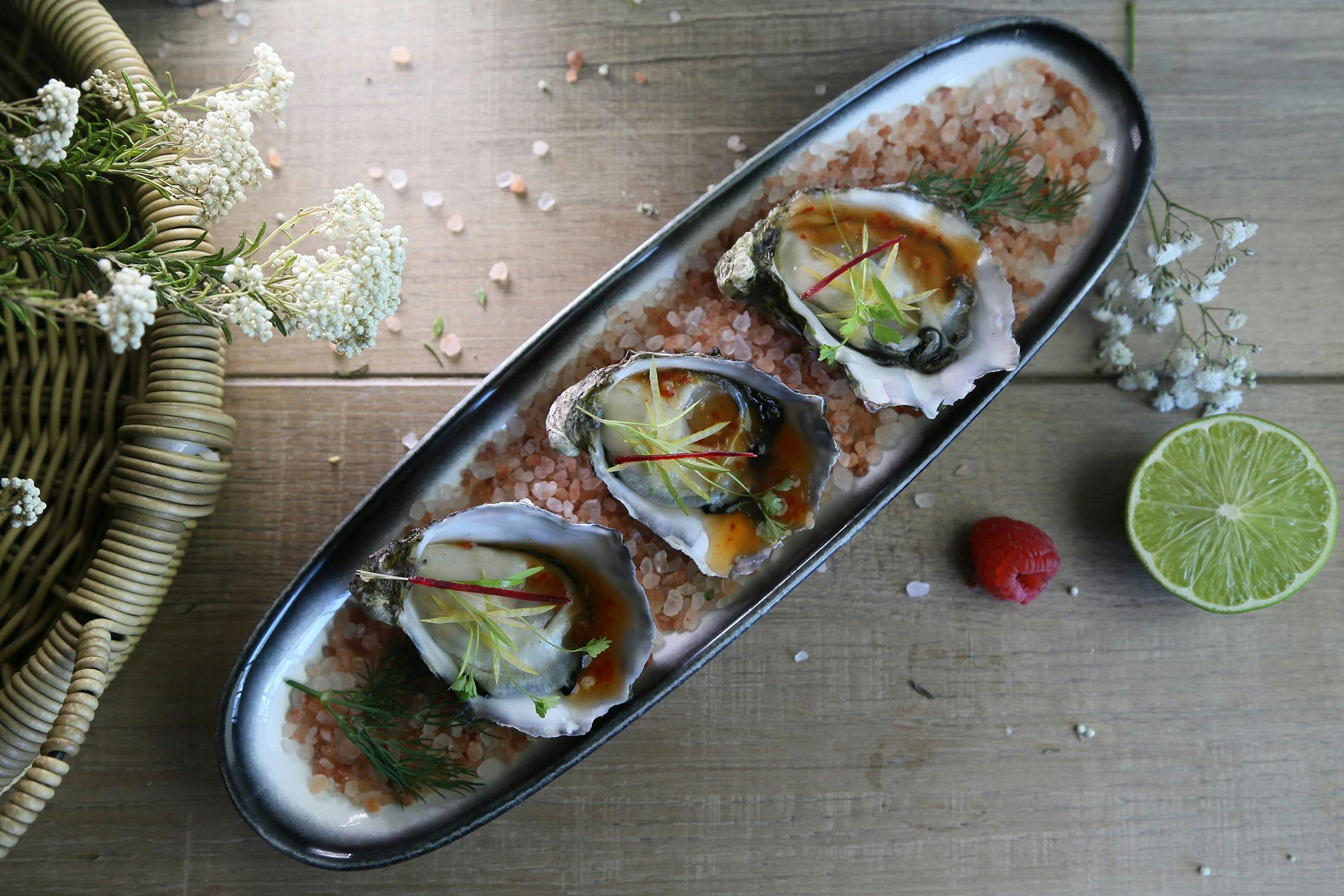 Oysters at Harbour Thai