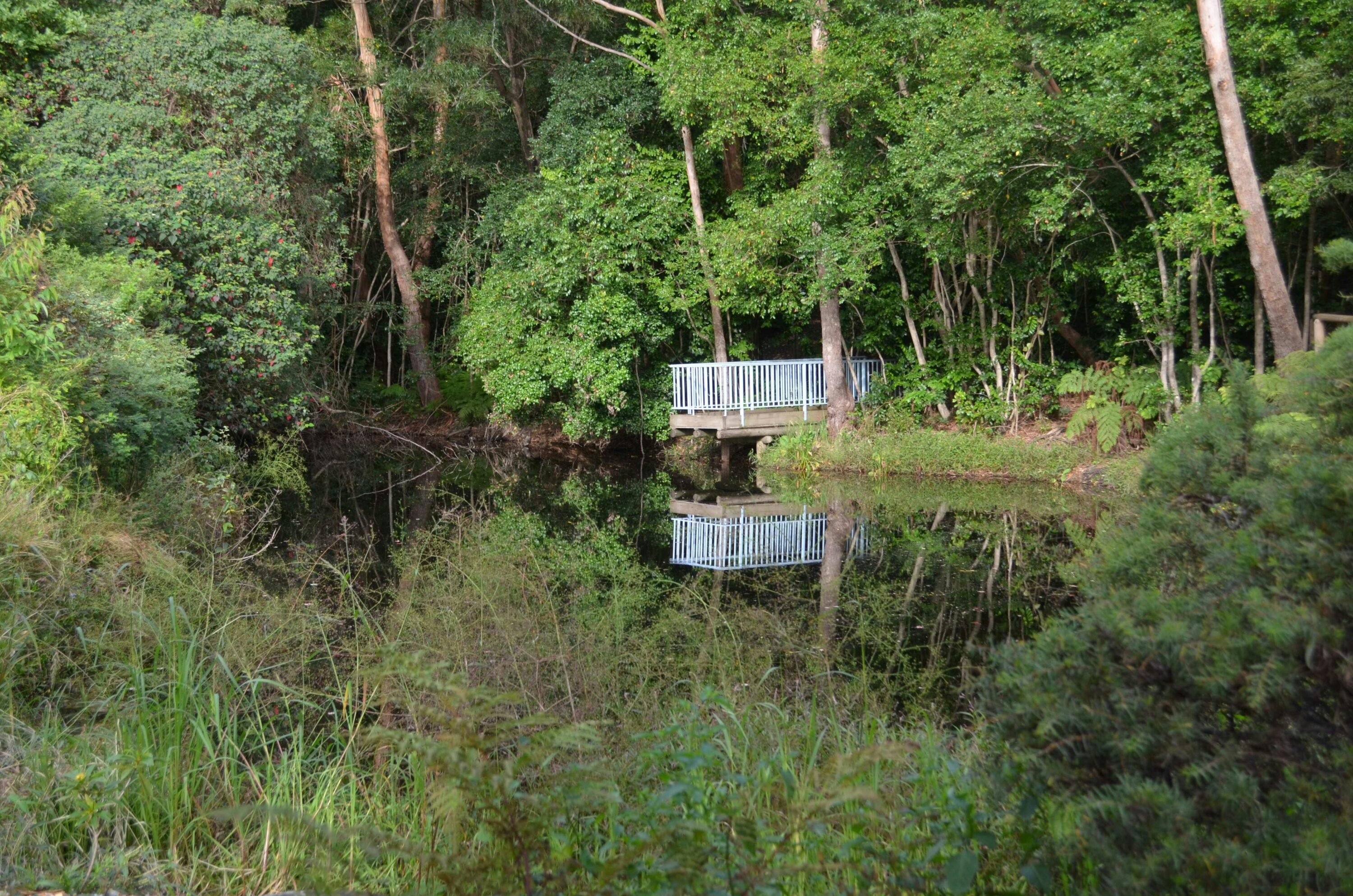 Dam  reflection