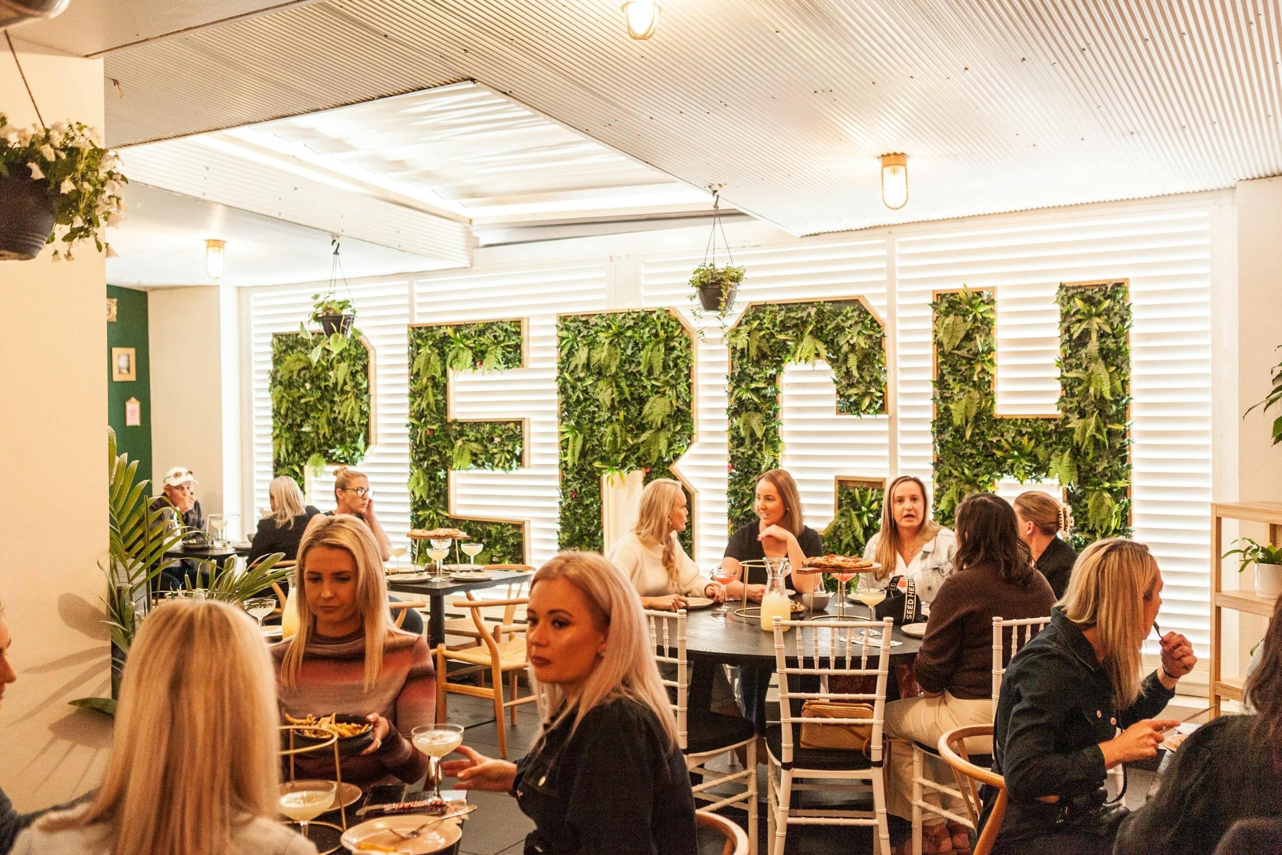 Perch Bar Shellharbour