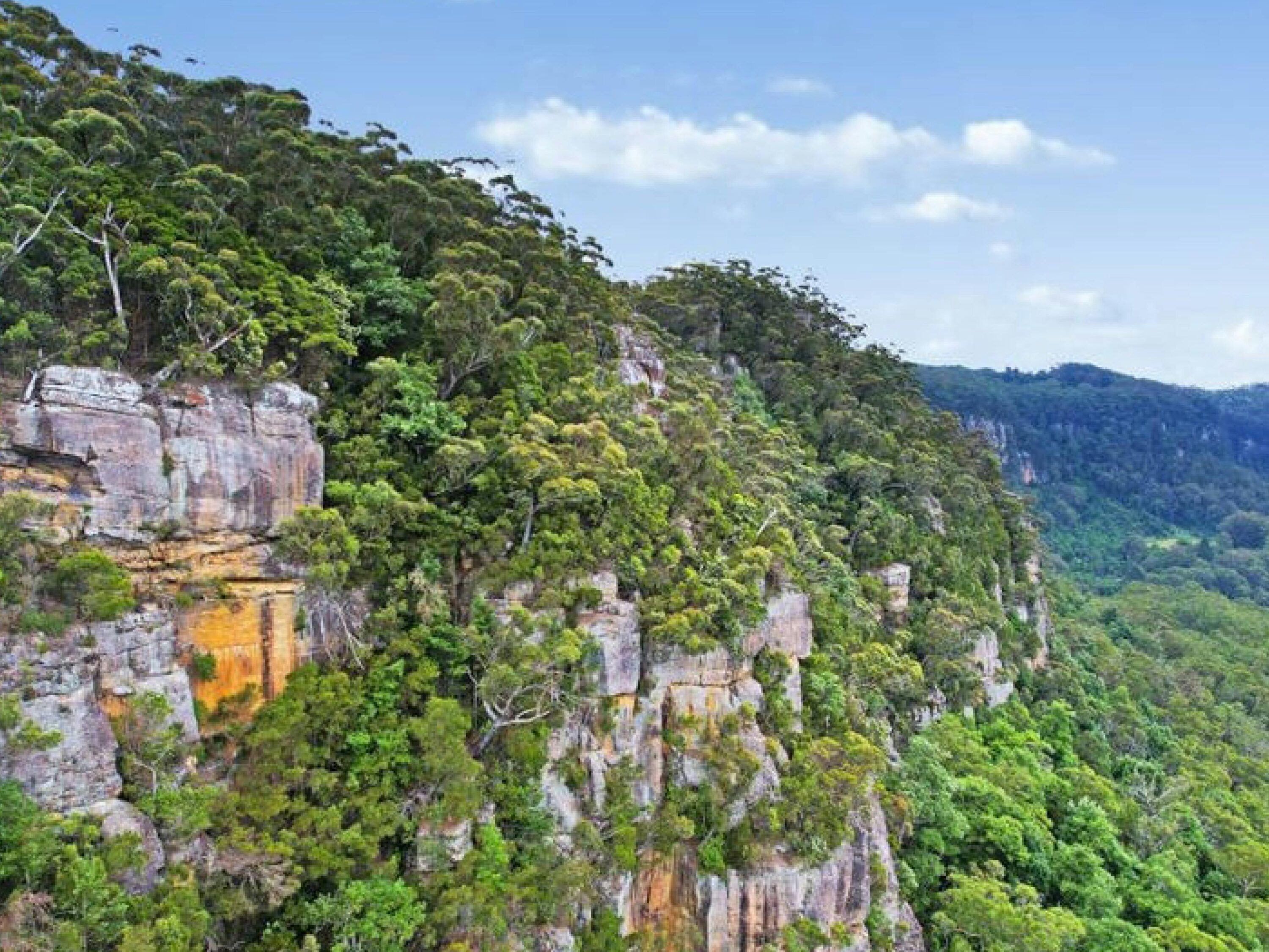 Illawarra Escarpment