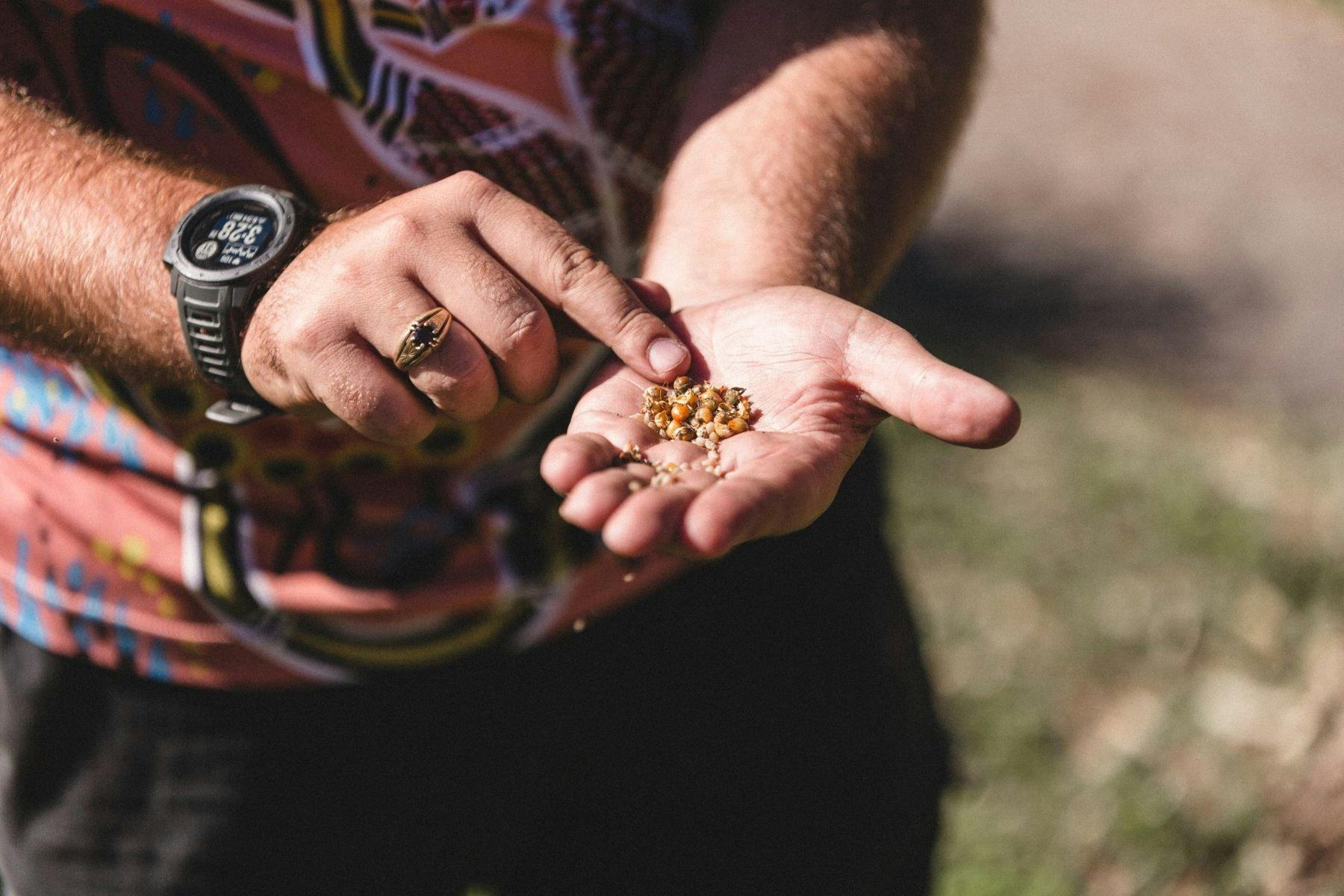 Gumaraa's Traditional Bush-Tucker/Medicine Walk at Killalea Regional Park