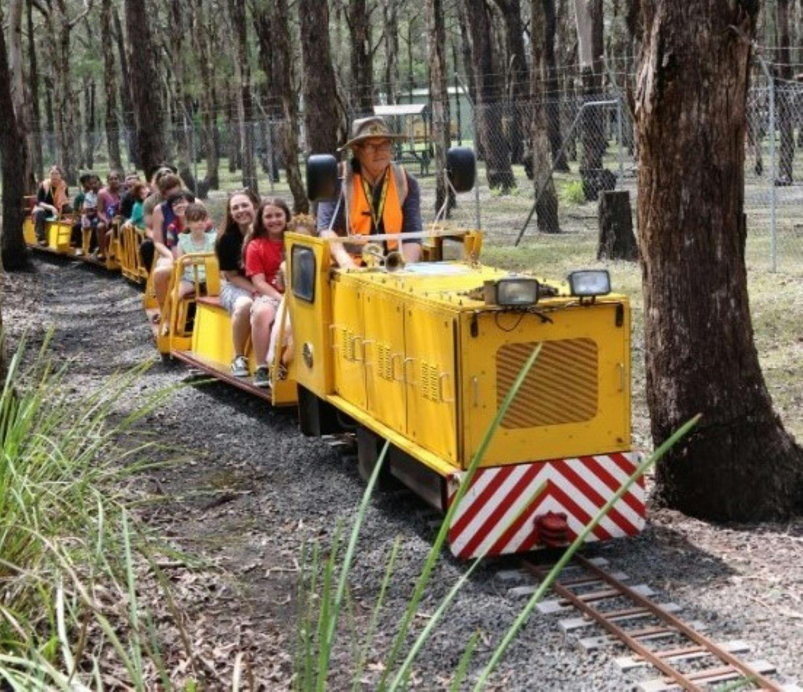 train