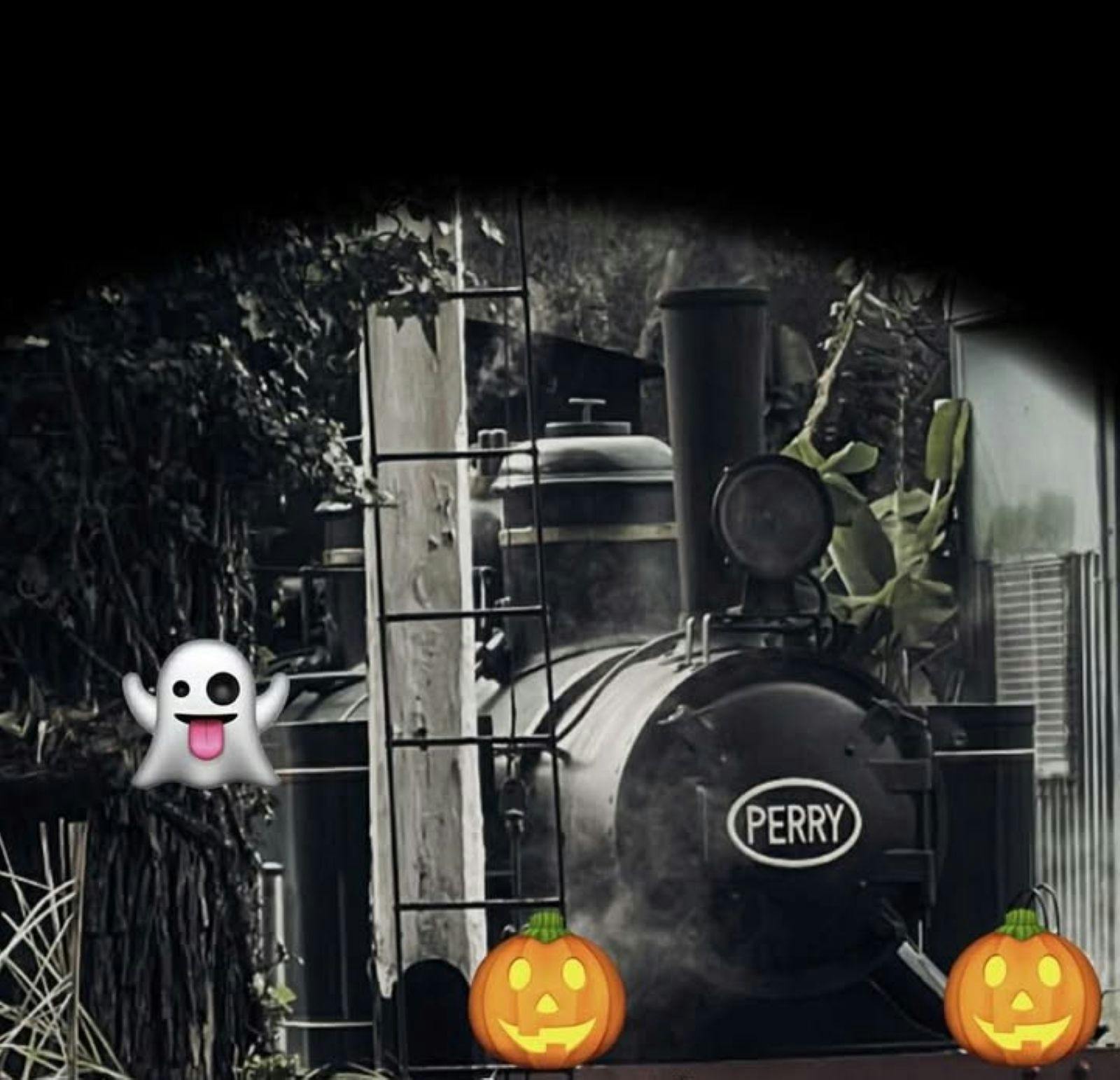 Train for Halloween at the Illawarra Light Railway Museum