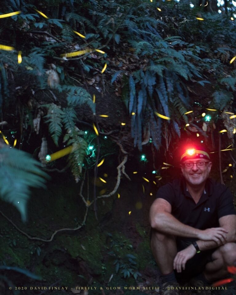 Bioluminescence enthusiast David Finlay with Fireflies.