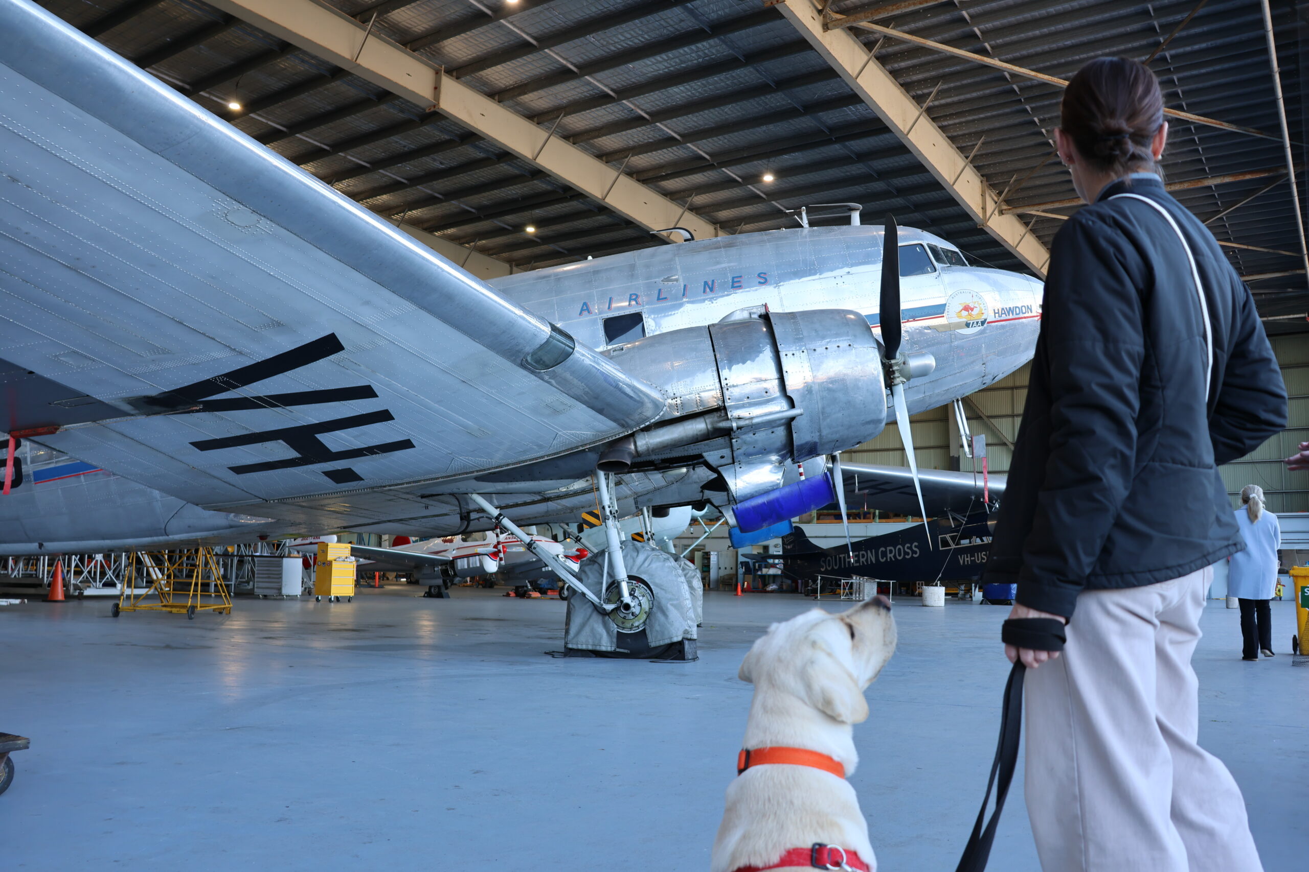 Pet at HARS Aviation Museum