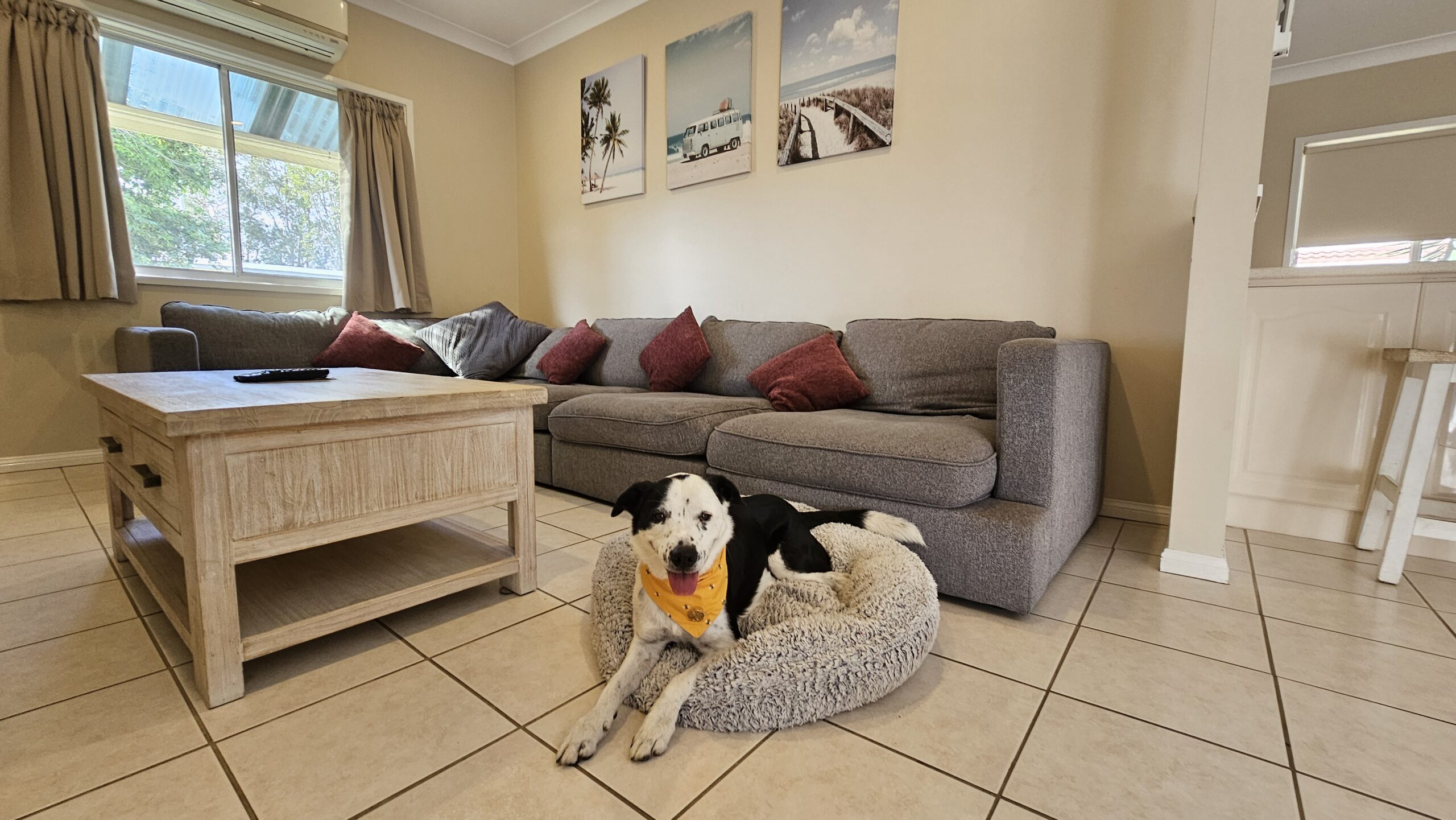 Dog in accommodation at Barrack Point Holidays