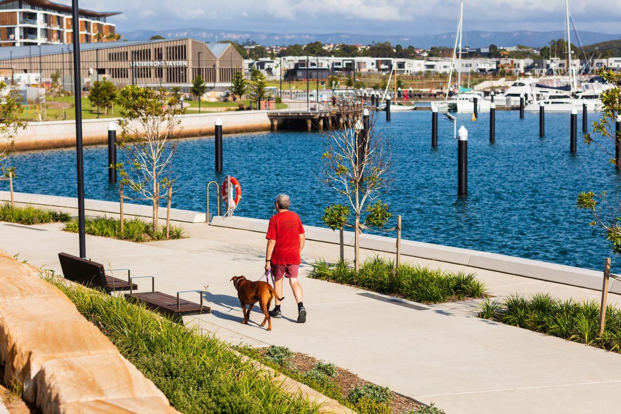 Person walking a dog along the boardwalk at Shellharbour Marina