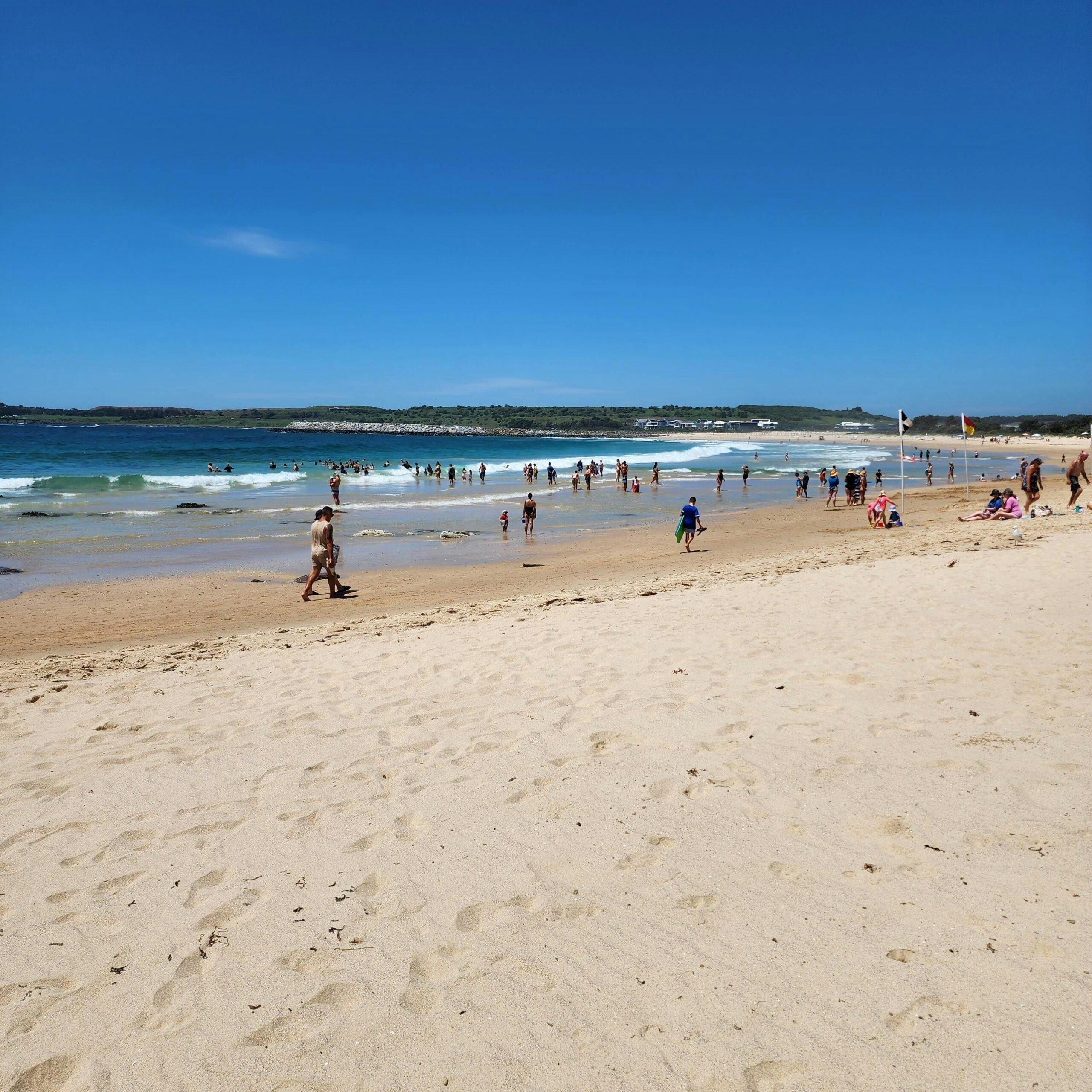 South View of beach with Bass Point in the back ground