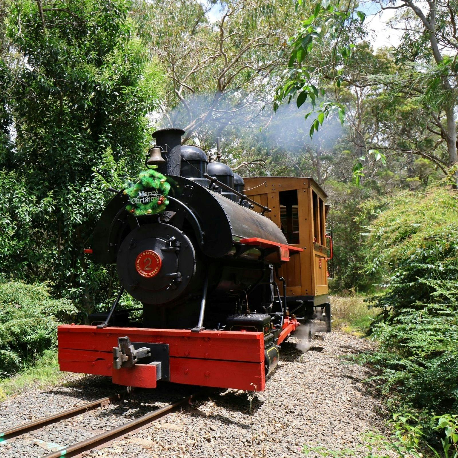 Illawarra Light Railway Steam Train